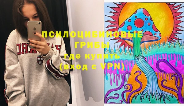 меф Осинники
